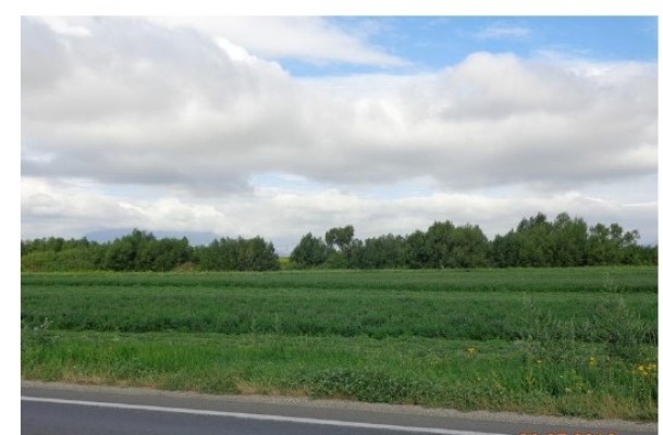 Teren intravilan 10000 mp Calea Feldioarei (DN13) Brasov