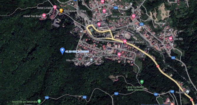 Teren extravilan - padure,  Baile Olanesti, jud. Valcea