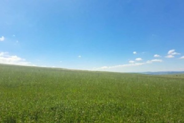 Teren agricol extravilan agricol, Com.Siretel, Jud.Iasi