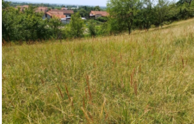 Teren intravilan com. Criciova, jud. Timis