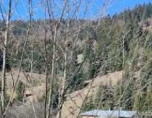 Cota de 1/2 din teren extravilan agricol, Com.Cosna, Jud. Suceava