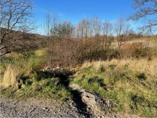 Teren intravilan agricol 493mp loc. Blidireasa, com Ibanesti, jud. MS