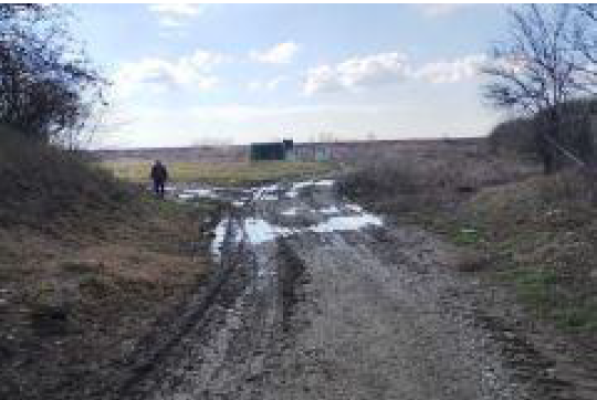Cota de 1/2 din teren extravilan 10.000 mp – Comuna Albești‑Paleologu, sat Cioceni, Jud. Prahova