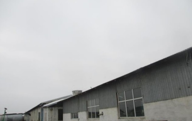 Proprietate agro-industriala Topraisar, Jud. Constanta