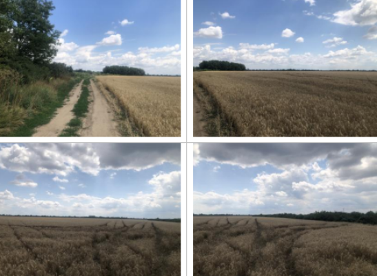 Cota de ½ din teren extravilan agricol  – Madaras, Bihor
