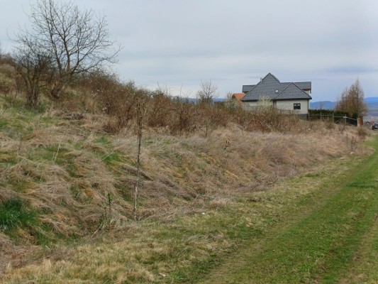 Teren 2175 mp in Reghin, Str. Viilor, nr. FN, jud. Mureș