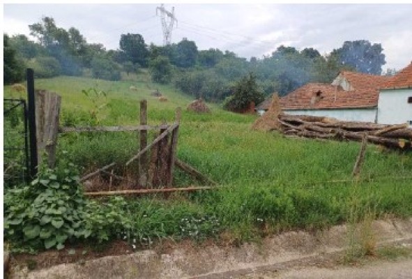 Cota 1/4 din teren agricol 1000 mp, Sat Tartaria, Com.Salistea, Jud. Alba