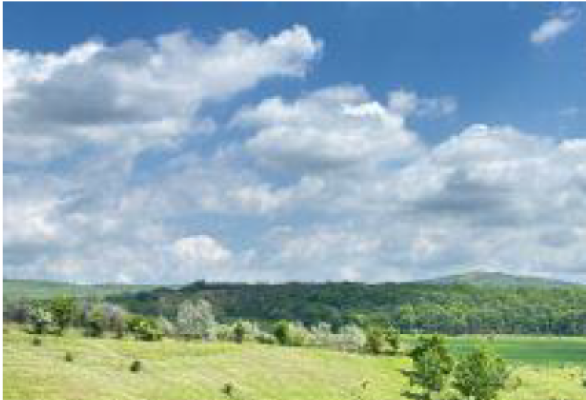 Cote indivize din teren extravilan agricol, 2.200 m², Valea Teilor, județul Tulcea 7409211