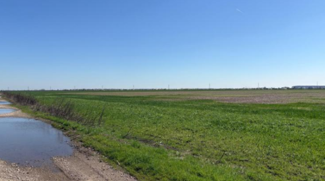 Teren agricol extravilan Sinești, Ialomita – 5.000 mp