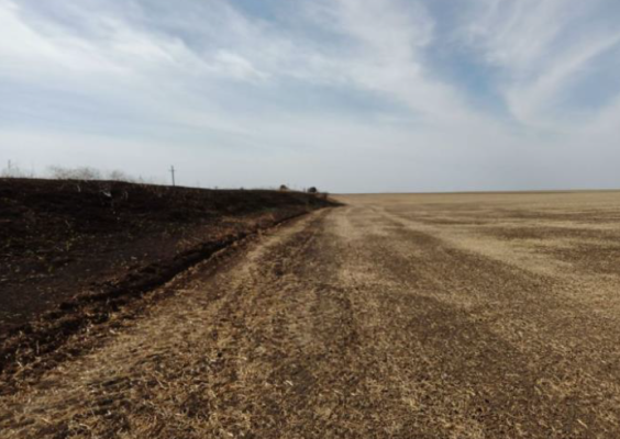 Teren agricol extravilan, comuna Cervenia, judet Teleorman