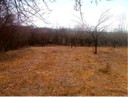 Teren agricol extravilan, Moreni