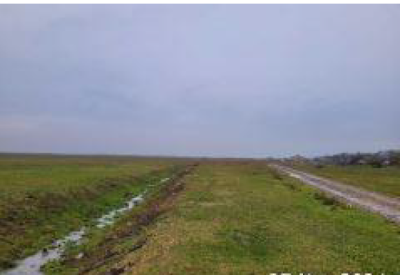 Cota de 10000/407492 din teren extravilan com. Luciu, jud. Buzau 5587600
