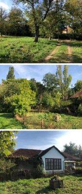 2 case de locuit in regim P si in regim de S+P+E+M si teren in suprafata de 7771 mp