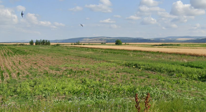 Teren extravilan arabil Com. Sascut, jud. Bacău 6238052
