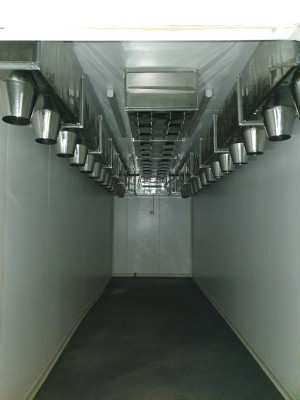 Amplasamentul agro-industrial