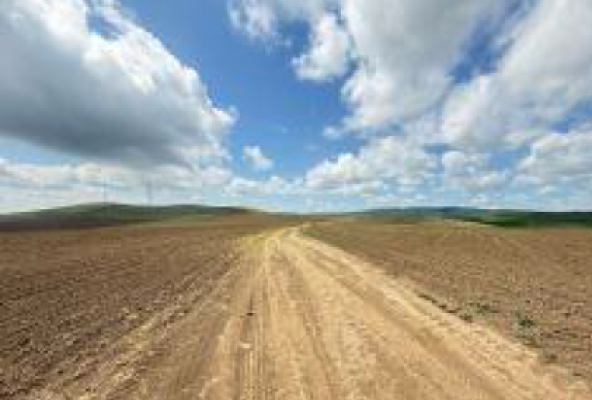 Cote indivize din teren extravilan agricol arabil, 7.500 m², Valea Teilor, județul Tulcea 7409212
