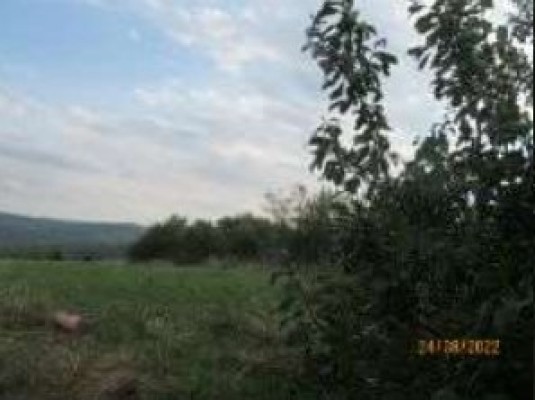 Teren agricol intravilan, Sat Bogata, Com. Baia, Jud. Suceava