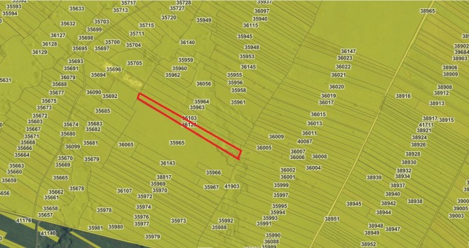 Teren agricol  extravilan Com.Malini, Jud. Suceava