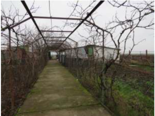 Casa D+P+M si teren, sat Oinacu, jud Giurgiu