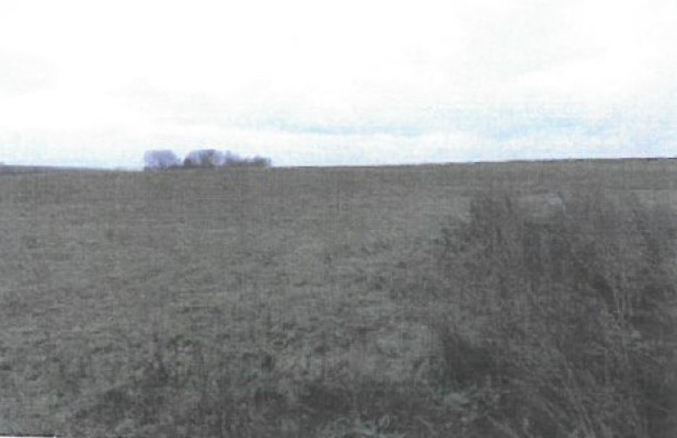 Teren intravilan agricol, Com.Bargauani, Jud.Neamt