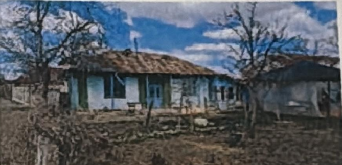 Casa cu teren. Loc Zorleni, Jud.Vaslui