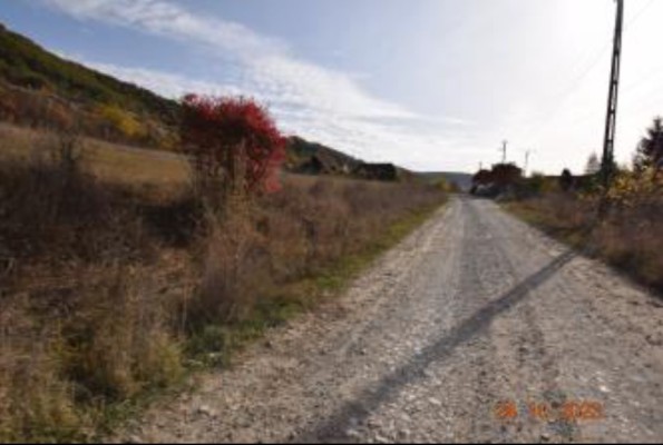 Teren agricol extravilan 3022 mp Sighisoara, zona Aurel Vlaicu