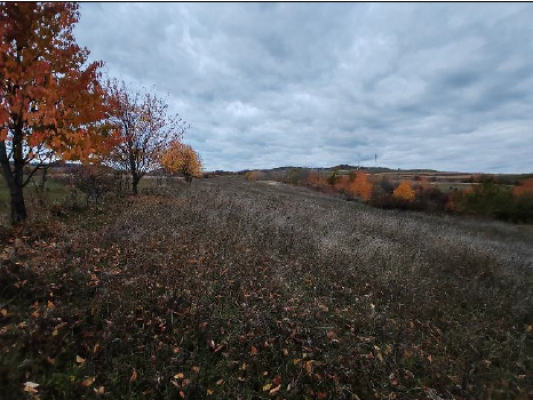 Teren extravilan, Comuna Zvoriștea, Județul Suceava