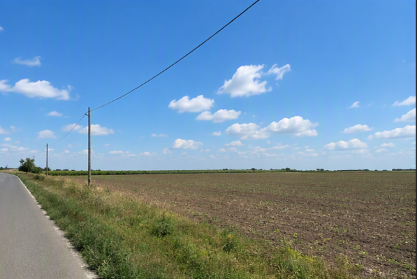 Cotă indiviză 1/2 din teren extravilan arabil 10.000 mp, Dobrotești, județul Teleorman