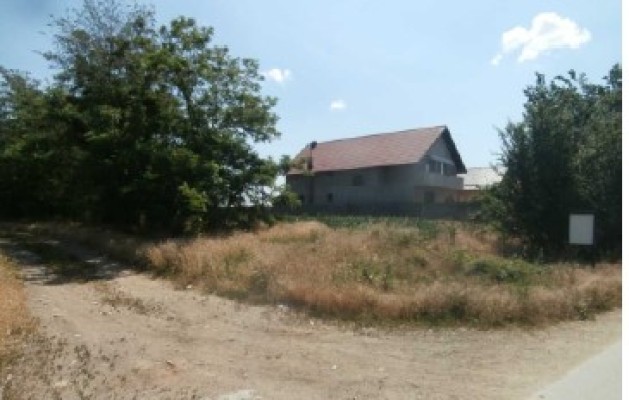 Teren intravilan arabil, Sat Zavoiu, Com.Mogosani, Jud.Dambovita