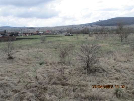 Teren agricol arabil, sat Taureni, Harghita