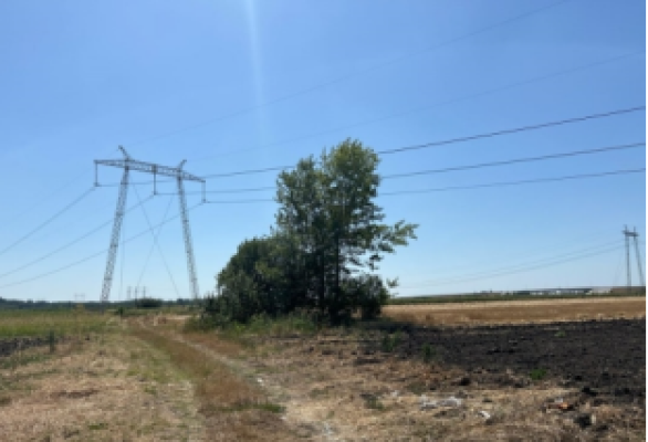 Cota 6/32 din teren partial intravilan, Loc. Darasti-Ilfov, Jud. Ilfov