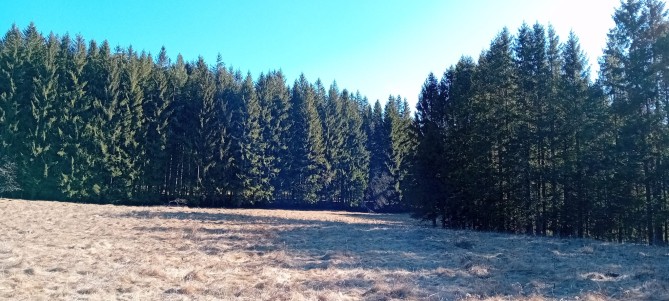 Teren intravilan, Maneciu, sat Cheia, judetul Prahova