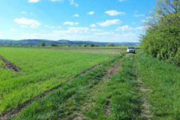 Cota de 6/16 din teren agricol extravilan sat Coseni, jud. Covasna 5903810