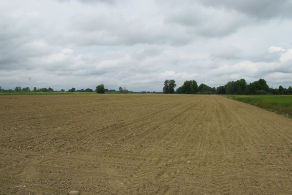 Teren extravilan arabil, 5.800 mp, Comuna Criciova, județul Timiș