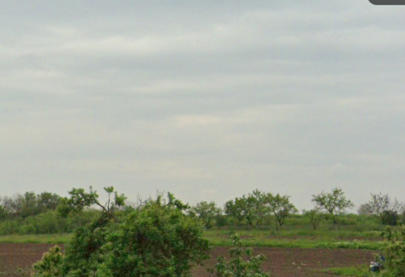 Patru terenuri agricole extravilane – comuna Bucșani, județul Giurgiu