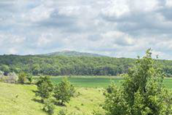 Cote indivize din teren extravilan agricol, 2.200 m², Valea Teilor, județul Tulcea 7409211