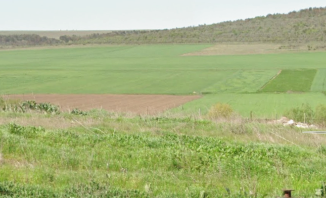 Cota de 1/4 din teren agricol extravilan com. Mihail Kogalniceanu, jud. Constanta 6118418