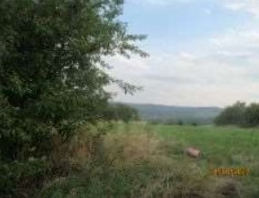 Teren agricol intravilan, Sat Bogata, Com. Baia, Jud. Suceava