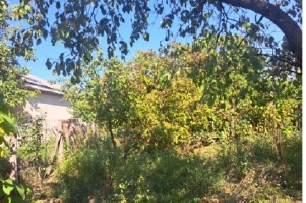Teren intravilan agricol Loc. Mogosesti, Com.Mogosesti, Jud.Iasi