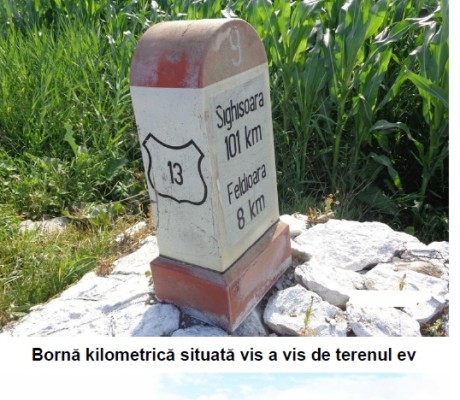 Teren intravilan 10000 mp Calea Feldioarei (DN13) Brasov