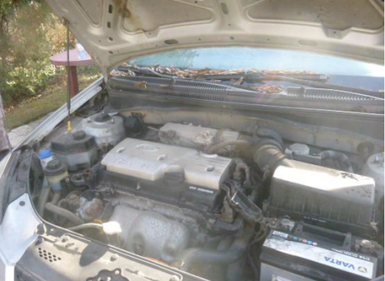 Autoturism KIA RIO