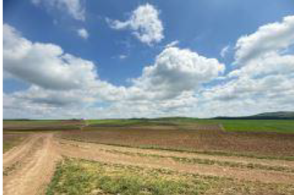 Cote indivize din teren extravilan agricol arabil, 7.500 m², Valea Teilor, județul Tulcea 7409212
