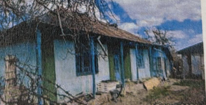Casa cu teren. Loc Zorleni, Jud.Vaslui