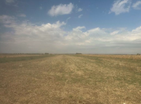 Cota de 3/4 din teren extravilan agricol, Com. Gostinu, jud. Giurgiu