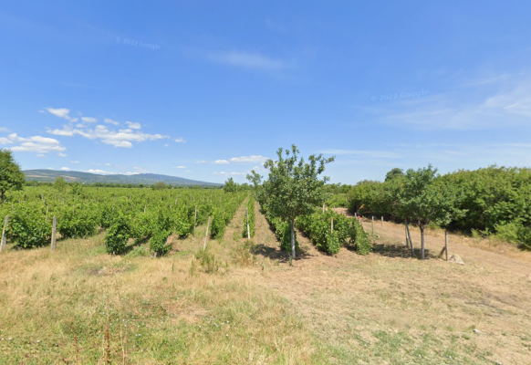 Teren extravilan vie, Odobești, județul Vrancea 7112299