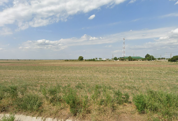 Cotă de 1/4 din teren extravilan agricol, comuna Tichilești, județul Brăila BTM3042960