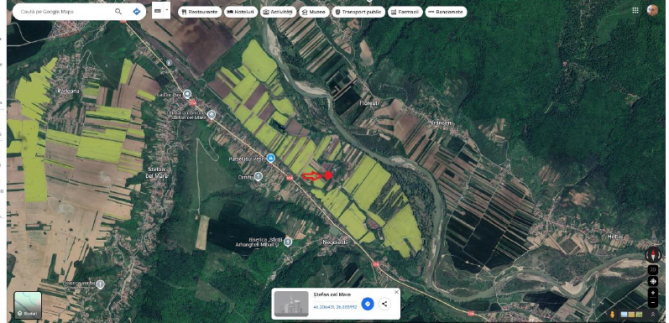 Teren extravilan cu constructii, com. Stefan Cel Mare, jud. Bacau 6383224