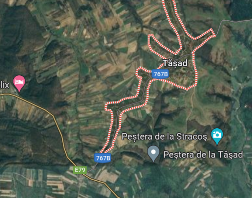 Drept de uzufruct viager din casa si teren in suprafata de 8499 mp situata in com Dragesti sat Tasad