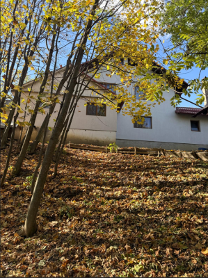 Casă  si teren – Sat Herla, Comuna Slatina, Județul Suceava