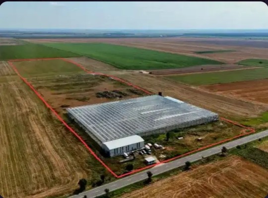 PROPRIETATE IMOBILIARA DE TIP SERA